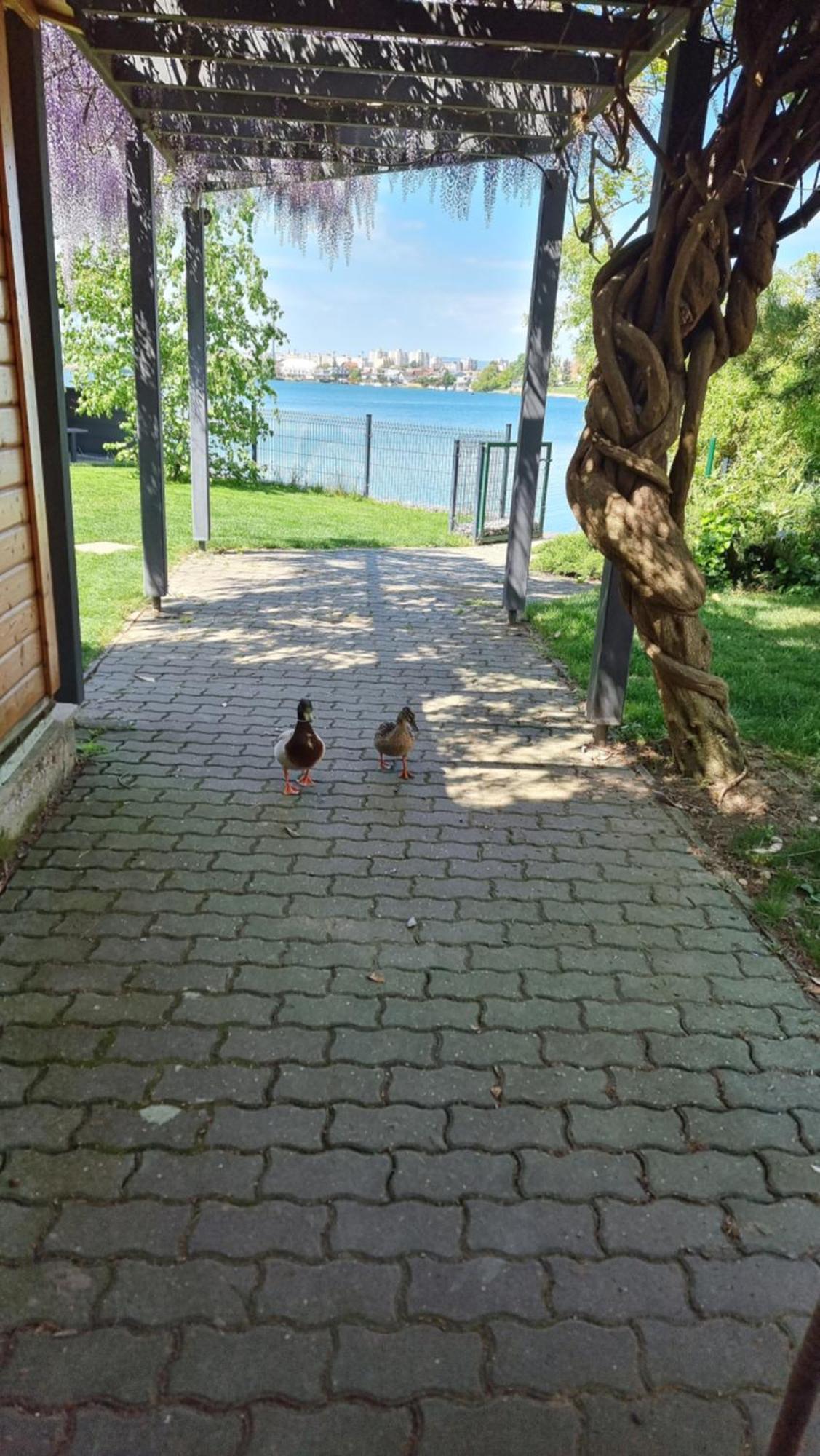 Topsenec-Lakeside Home Zewnętrze zdjęcie
