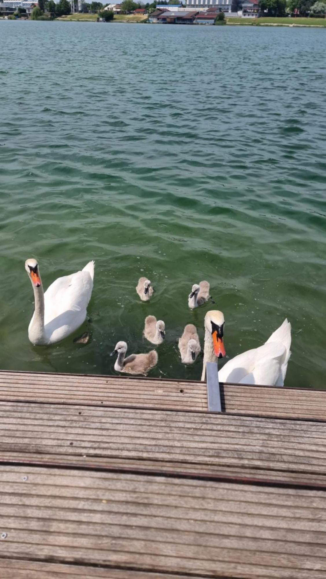 Topsenec-Lakeside Home Zewnętrze zdjęcie